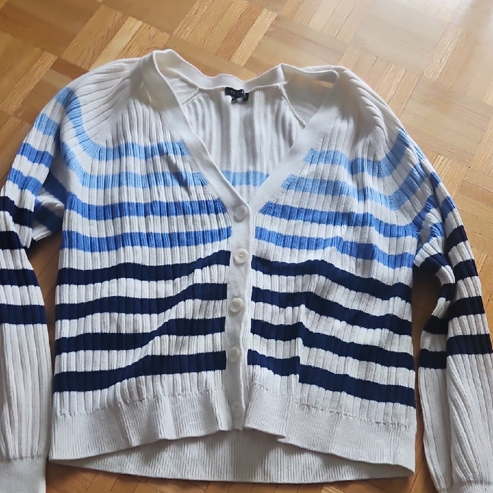 Talbots Blue and White Striped Cardigan